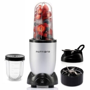 NutriPro 500W Juicer Mixer Grinder — 2 Jars, Silver